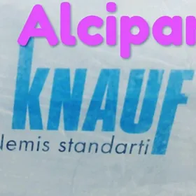 Alcipan Alcypan