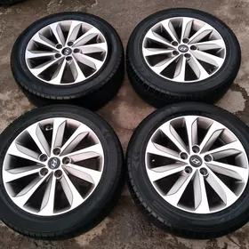 Argynal hunday disga teker 17