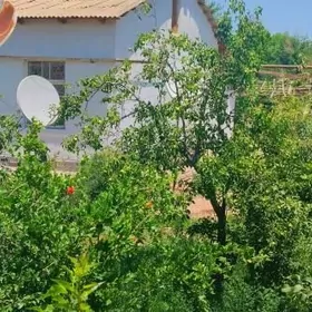 продажа  иолотань Алымлар