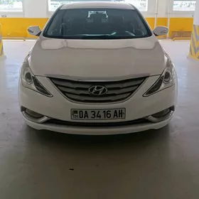 Hyundai Sonata 2010