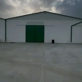 Arenda Ammarlar