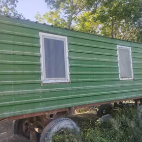 wagon