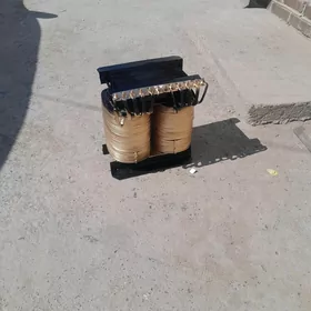 Tok kopeltyan aprat