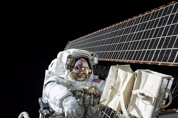 Ýewropa kosmos agentligi kosmosda azyk ösdürip ýetişdirmegi synagdan geçirýär