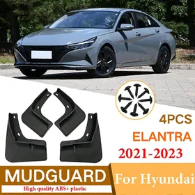 Elantra Brazgawik