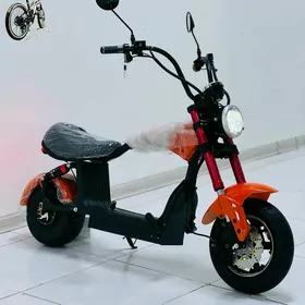 TOKLY TIGIR SAMAKAT SKUTER