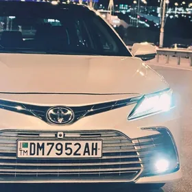 Toyota Camry 2019