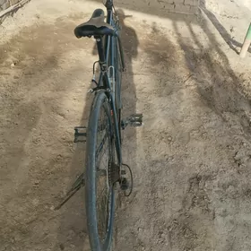welosiped sportivny