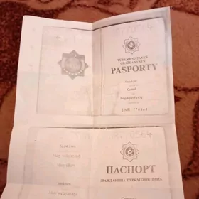 pasport yitirdim
