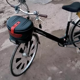 DUBAYISKI 27 lik