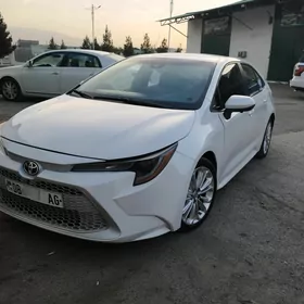 Toyota Corolla 2021