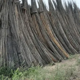 gamyş