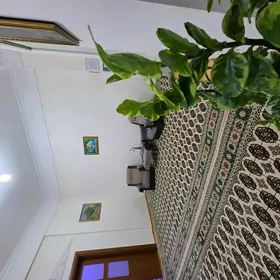элитка по Подвойской 3комн