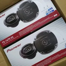 PIONNER V2 1675 KOLONKA