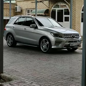 Mercedes-Benz M-Class 2014