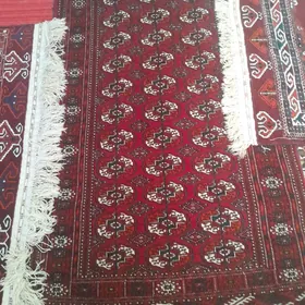 Gyzylarbat El Halysy 4 sany