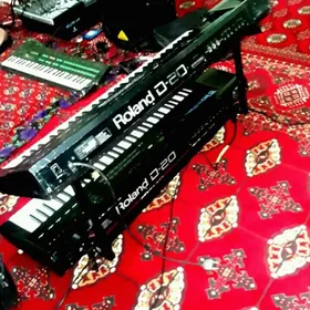 D-20 Roland