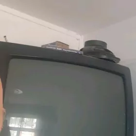 телевизор.