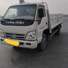 Forland Gazel