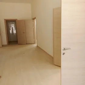 EYESINDEN Körçaý jay