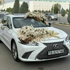 Toy bezeg un Leksus22