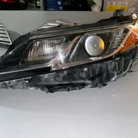Fara Camry