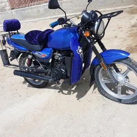 Fekon FK150-8G 2017
