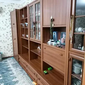 Shifoner stenka