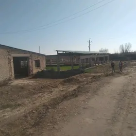 satlyk ferma