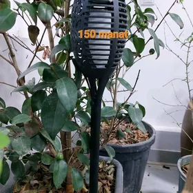 gunden energiya alyan cyralar
