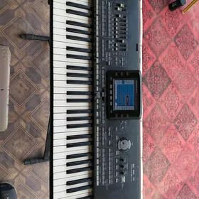 Korg Pa3. 76 klw