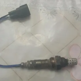 Katalizator datchik