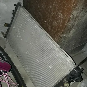 Satlyk Radiator
