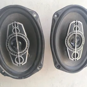 Pioneer kalonka