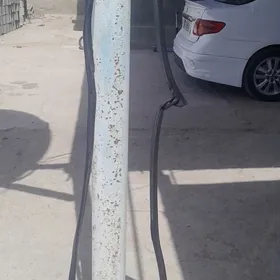 Corolla rezin