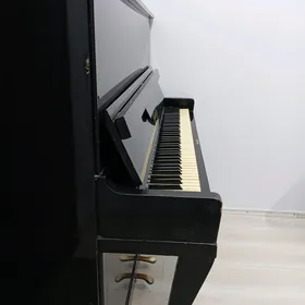 Fortepiano Belarus