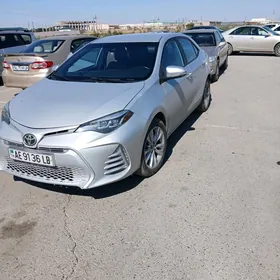 Toyota Corolla 2019