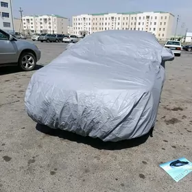 Cehol dasyna yapynja