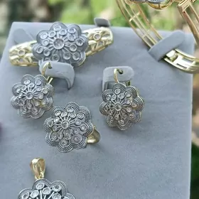 Buziterya Yerewan gyzylyn kopy