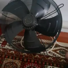 witiçka