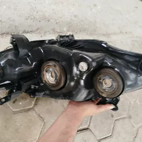 carolla fara cep tarap
