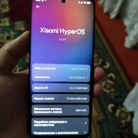 Xiaomi 13 pro