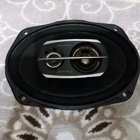 Pioner