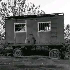 wagon