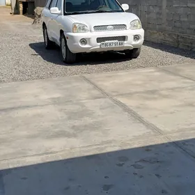 Hyundai Santa Fe 2002