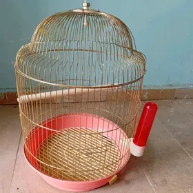 guş ketek