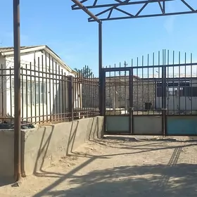 daça ayreportda
