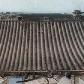 öküz kel radiyatr