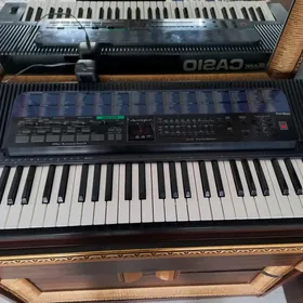 Sindizator,blok CASIO