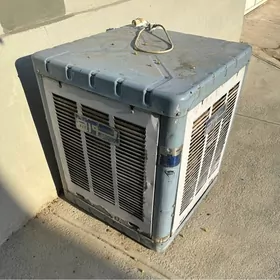 suwly wintelyator